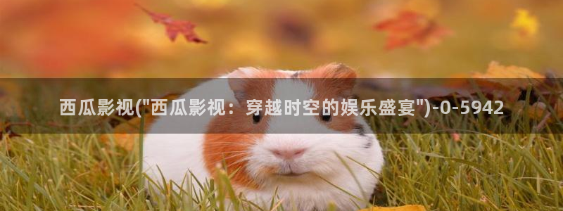 西瓜播放器在线电影天狼